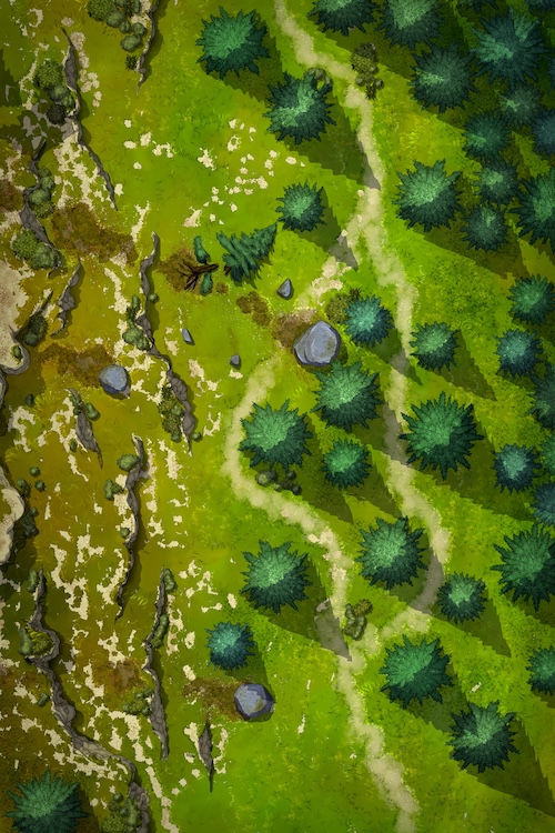 Fallen Rocks